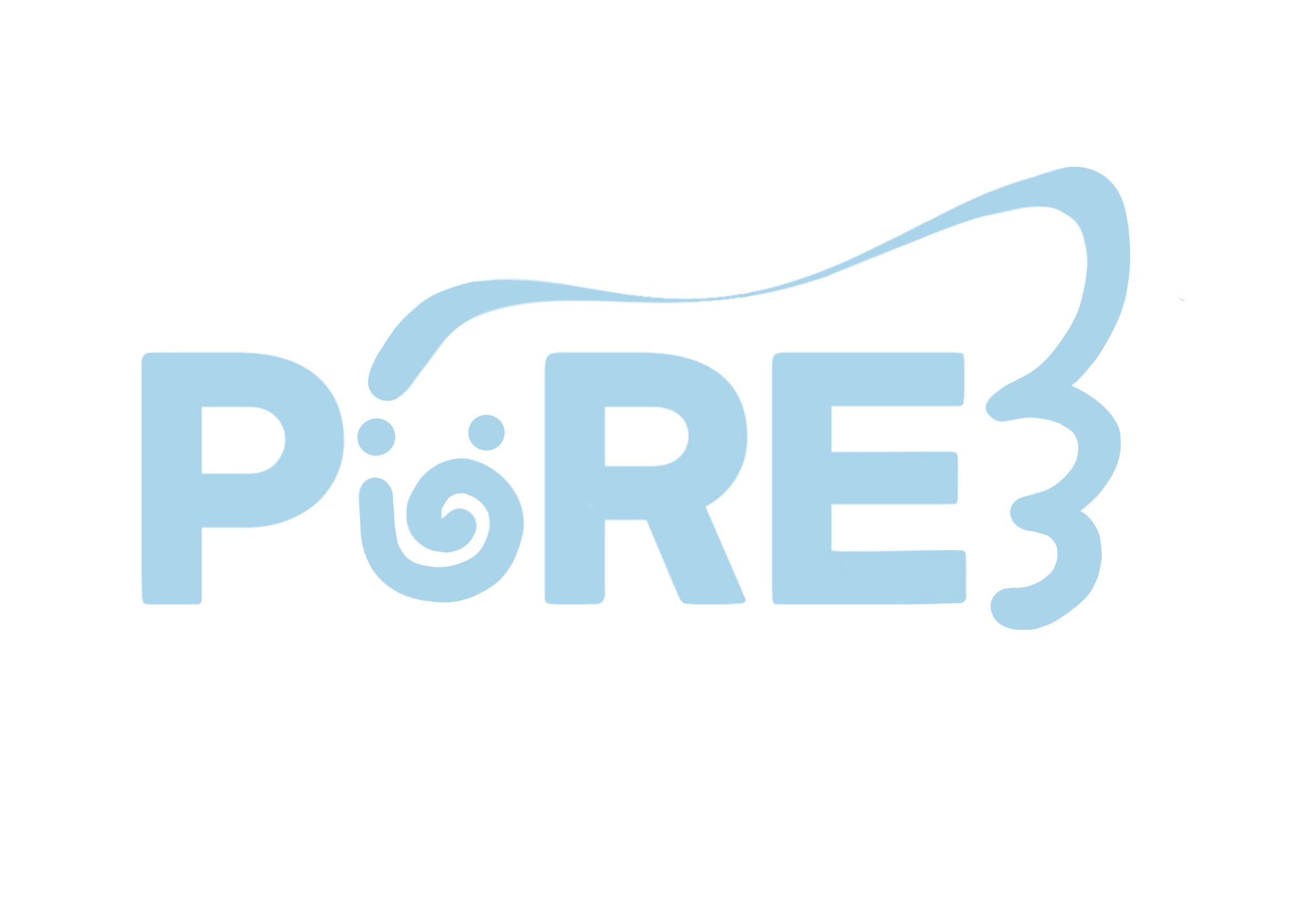 제21대 무역학과 학생회 PüRE 로고.JPG